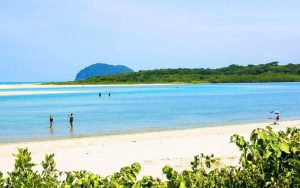 Projeto de lei quer proibir cigarros em praias brasileiras