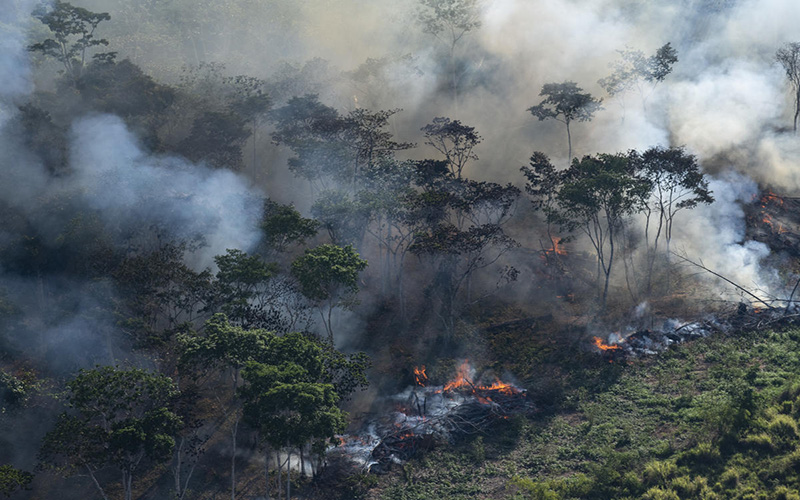 Nasa oferece ajuda ao Brasil para monitorar desmatamento na Amazônia