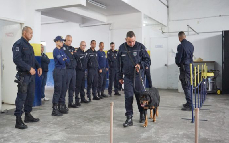 Canil da GCM capacita novos agentes para atuação com cães em ocorrências