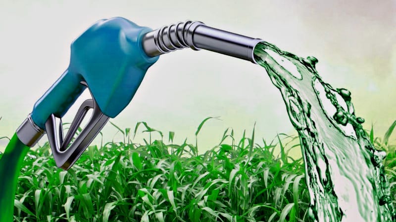 Impostos sobre etanol e gasolina voltam em julho, confirma governo