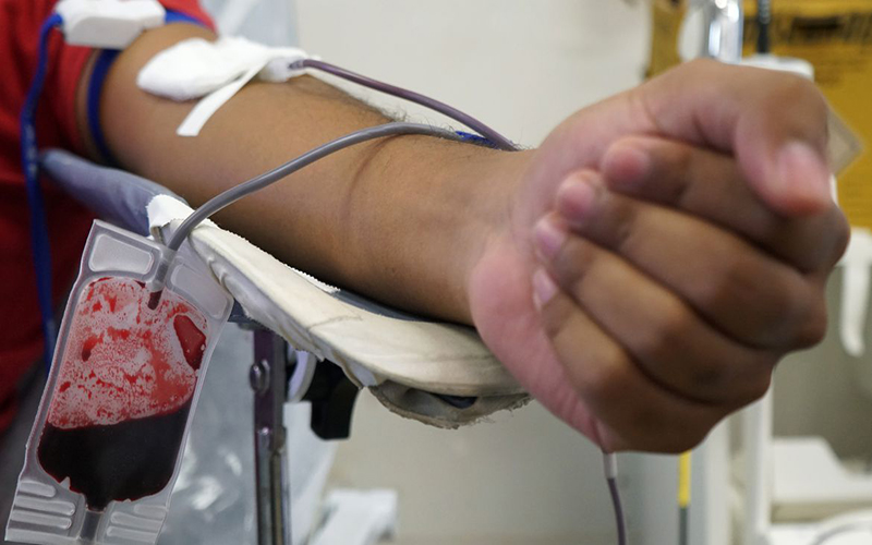 Novo aplicativo promete facilitar doação de sangue no Brasil