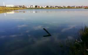 Jovem de 23 anos é encontrado morto na Lagoa Azul, em Suzano