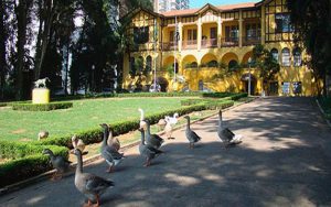 Parque da Água Branca, em SP, vai isolar 2 mil aves em prevenção à gripe aviária