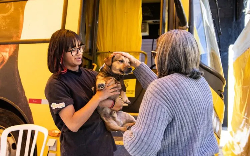 Ferraz de Vasconcelos abre inscrições para castração gratuita de cães e gatos