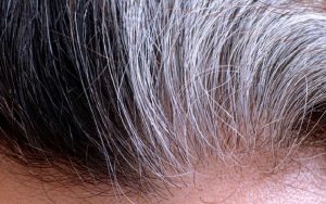 Cientistas brasileiros descobrem substância que reverte de vez os cabelos brancos