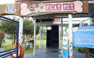 Suzano terá ‘PlayPet Day’ e ‘Cãominhada’ neste sábado