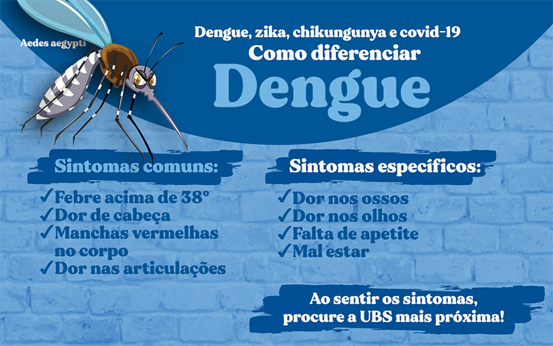 Será que é dengue? Conheça os sintomas