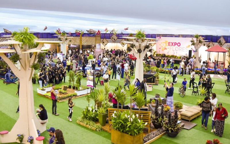 ‘ExpoFlores’ traz diversidade da produção de plantas, exposição e oficinas para a Arena Suzano