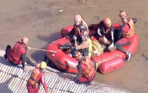 Bombeiros de SP recebem prêmio por resgate do cavalo Caramelo no Rio Grande do Sul
