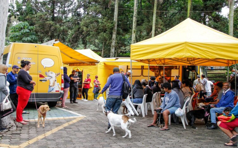 Ferraz abre inscrições para castração gratuita nesta quarta