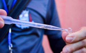 Suzano inicia acompanhamento especial para pacientes com arboviroses