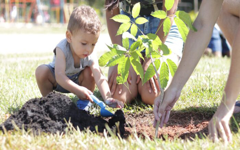Primeiro mutirão do projeto ‘Árvore FamiliAR’ resulta em 60 mudas plantadas em Suzano